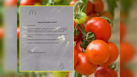 Tomato Price News Food Mcdonalds Delhi Notice Viral Peoples Says Even