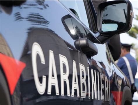 Furto Di Statuette Nel Presepe Del Parco Friuli Carabinieri In Azione