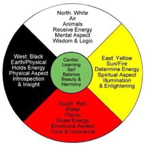 Health Of The Indigenous Population In Canada