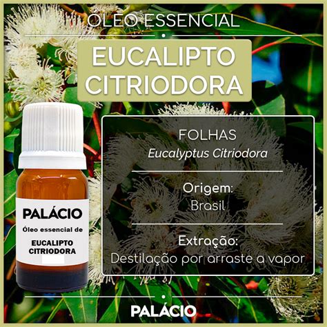 Leo Essencial De Eucalipto Citriodora Puro Ml Shopee Brasil