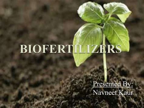 Types of biofertilizers