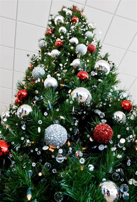 Tree Hire Christmas Perth Taylored To Suit