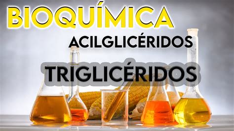 Acilglic Ridos Y Triglic Ridos Qu Son Bioqu Mica Youtube