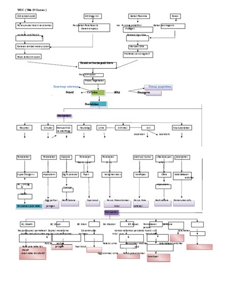 Ca Colon Woc Pdf