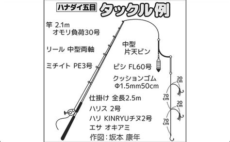 片貝沖のハナダイ釣りで30cm超え混じりに入れ食い絶好調【千葉・増栄丸】｜釣りまとめアンテナ