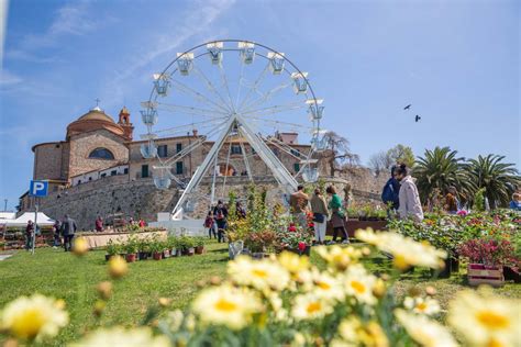 Festa Del Tulipano Pienza Montepulciano Isola Maggiore E La Citt