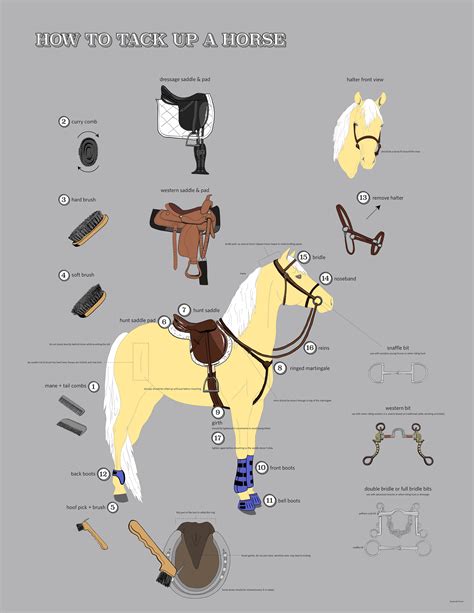 How to Tack up a Horse on Behance