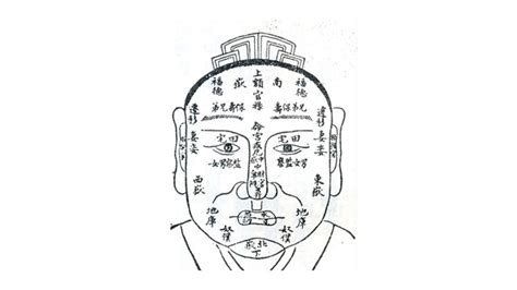 Chinese Face Reading Philosophy Hong Kong Ent Education