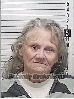 Recent Booking Mugshot For Nancy Etta Lindsey In Bay County Florida