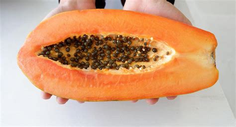 Semillas De Papaya Propiedades Y Beneficios Para La Salud