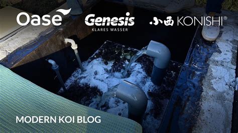 Modern Koi Blog 5878 Benes großzügig gestalteter Bürstenfilter mit