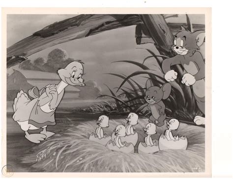 Just Ducky 1953 Tom And Jerry Original Mgm Cartoon Photo Snipe On Back