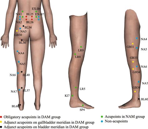 The Benefits Of Acupuncture For Sciatica Pain Relief El Paso TX