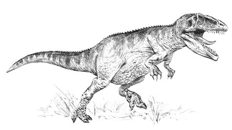 Giganotosaurus Coloring Pages