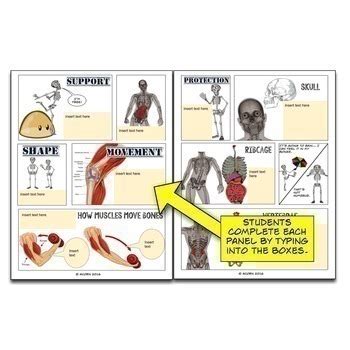 Distance Learning Skeletal System Google Drive Interactive Notebook By