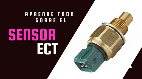 Qué es el Sensor ECT Ubicación Fallas y Soluciones 2024