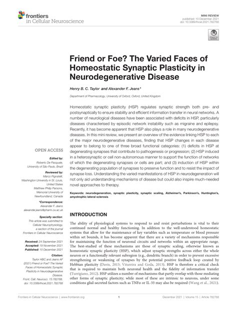 (PDF) Friend or Foe? The Varied Faces of Homeostatic Synaptic ... 
