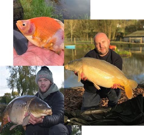 Exclusive Carp Fishing Lakes Private Lake Holidays Uk