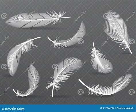 Realistic Angel Or Bird Soft Feather Falling Set Vector Illustration