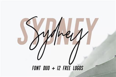 Sydney Font Duo 12 Free Logos Sans Serif Fonts Creative Market