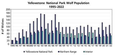 Gray Wolf - Yellowstone National Park (U.S. National Park Service)