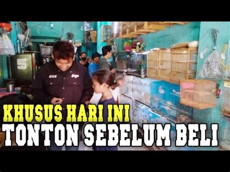 Cuma Hari Ini Tonton Dlu Baru Beli Biar Ga Nyesel Karna Pasti Beda