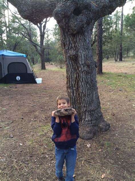 Christopher Creek Campground in Payson, Arizona - Kid-friendly Hotel Reviews | Trekaroo