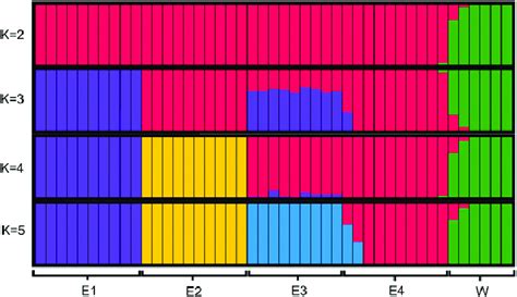 Population Structure Plots With The Number Of Ancestral Clusters K