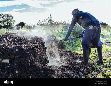 A Man Shovelling A Delivery Of Manure For Digging Into His Allotment In