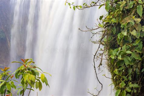 Elephant waterfall stock photo. Image of jungle, vietnam - 266963664