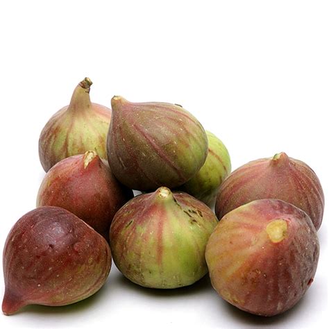 Brown Turkey Figs