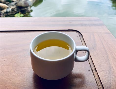 Morning Tea