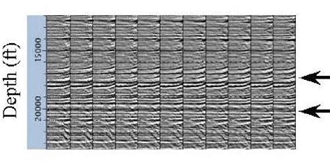 Pre Stack Depth Migrated Gathers Supporting The VSP Derived Negative