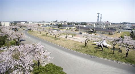 Cherry Blossoms In Bloom Around Misawa Misawa Air Base Article Display