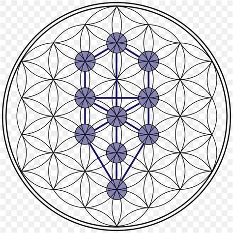 Tree Of Life Sacred Geometry Overlapping Circles Grid Png 1024x1024px Tree Of Life Area Art