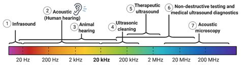 Pharmaceutics Free Full Text Harnessing Ultrasound For Targeting