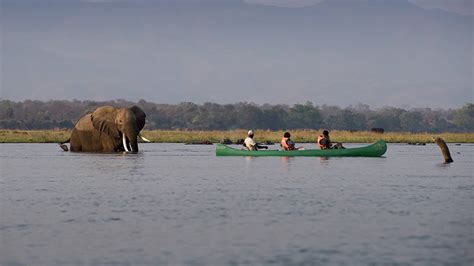 Mana Pools National Park Safari Lodges In 2022