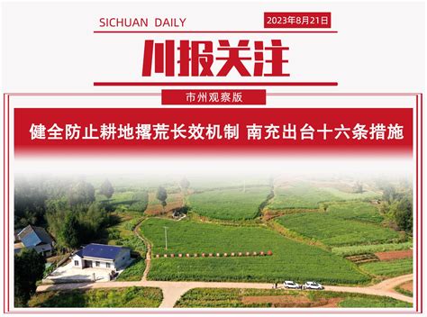 川报关注丨将路线图转化为实景画 南充锚定目标攻坚突破四川在线