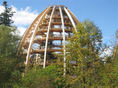 Baumwipfelpfad Im Nationalpark Bayerischer Wald Nationalpark