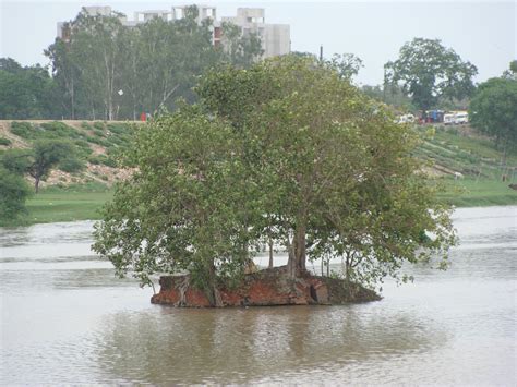 Photo of the week : Gomti River Lucknow | Wonder Destinations