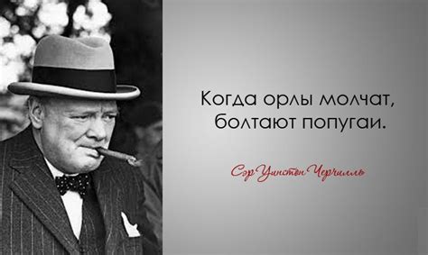 Цитаты Черчилля Zen Quotes, Wise Quotes, Fact Quotes, Funny Quotes ...