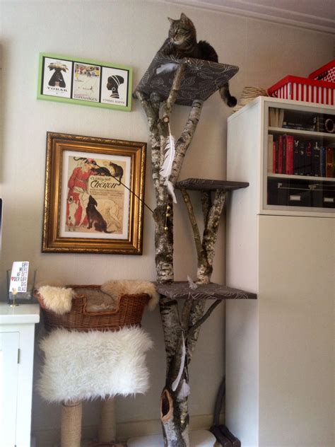 Cool Cat Tree Ideas Cats Care Health And Cat Care