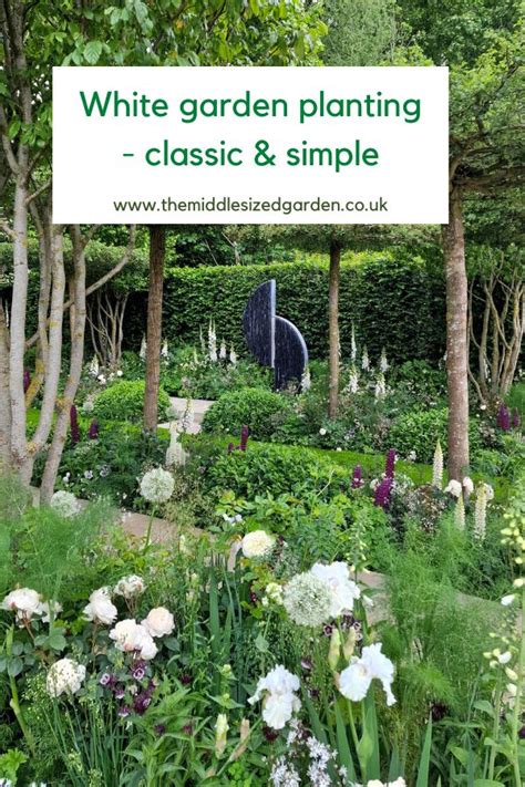 Brilliant garden border inspiration - how to choose colours, shapes ...