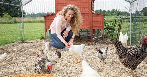 How To Start Raising Chickens 4 Important Steps