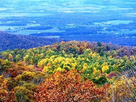 Photos on Friday: Fall foliage on Skyline Drive (2014) | Things to See and Do in the Washington ...