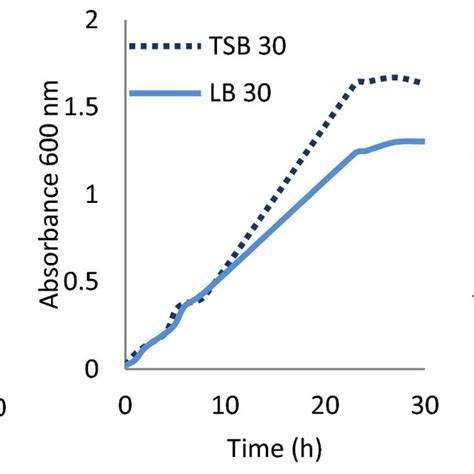 The Effect Of Lb And Tsb Liquid Medium On Growth Of B Subtilis Atcc 6633 Download Scientific