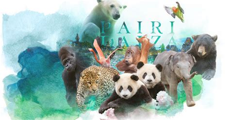 Gagnez un abonnement à Pairi Daiza pour 4 personnes pour 2021