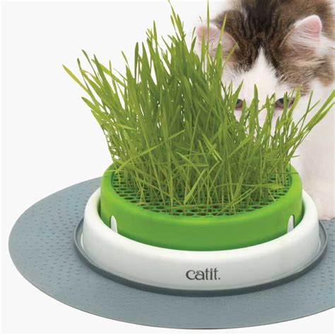 Catit Senses Grass Planter Products