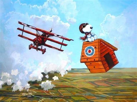 Pin By John Stein On Aviation Art Flying Ace Snoopy Snoopy Pictures