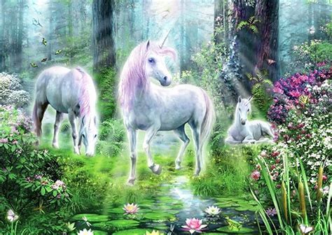 Beautiful Unicorns Unicorns Photo Fanpop